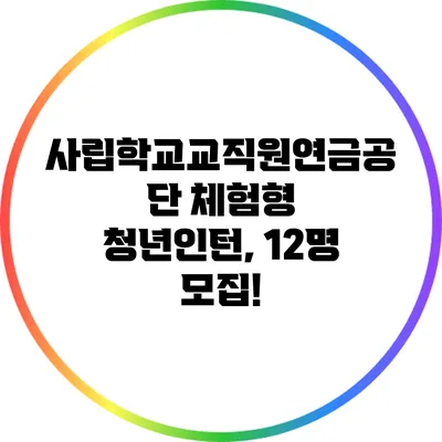 사립학교교직원연금공단 체험형 청년인턴, 12명 모집!