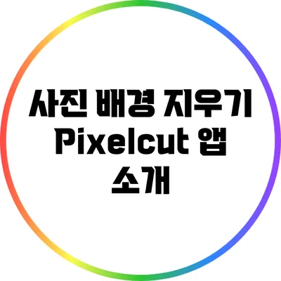사진 배경 지우기 Pixelcut 앱 소개