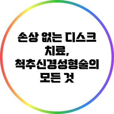 손상 없는 디스크 치료, 척추신경성형술의 모든 것