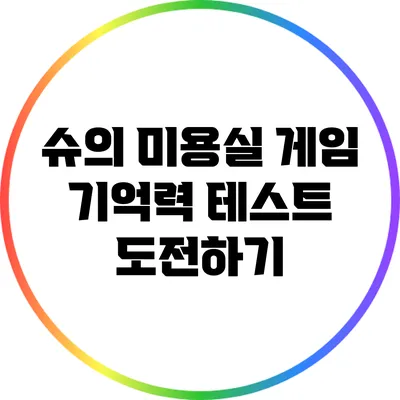슈의 미용실 게임 기억력 테스트 도전하기