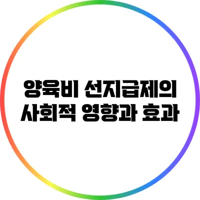 양육비 선지급제의 사회적 영향과 효과