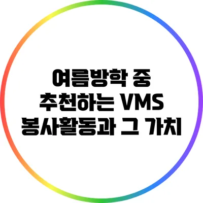여름방학 중 추천하는 VMS 봉사활동과 그 가치