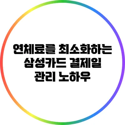 연체료를 최소화하는 삼성카드 결제일 관리 노하우