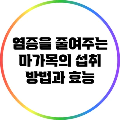 염증을 줄여주는 마가목의 섭취 방법과 효능