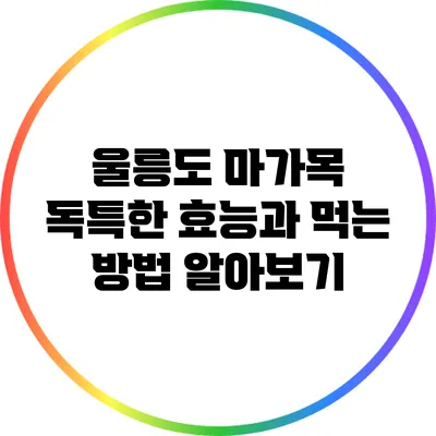 울릉도 마가목: 독특한 효능과 먹는 방법 알아보기