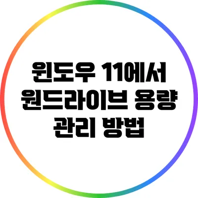 윈도우 11에서 원드라이브 용량 관리 방법