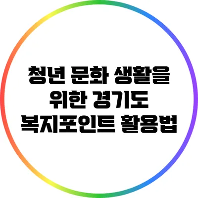 청년 문화 생활을 위한 경기도 복지포인트 활용법