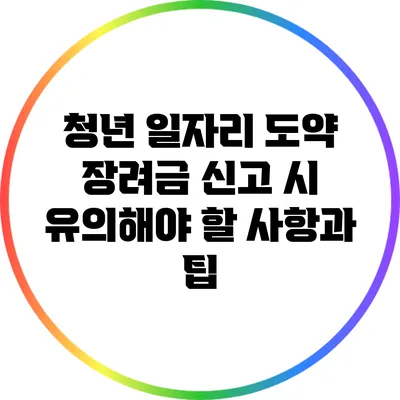 청년 일자리 도약 장려금 신고 시 유의해야 할 사항과 팁