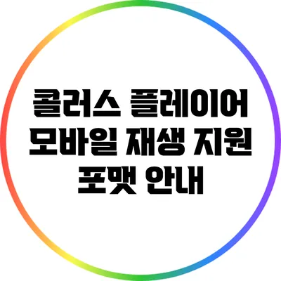 콜러스 플레이어 모바일 재생 지원 포맷 안내