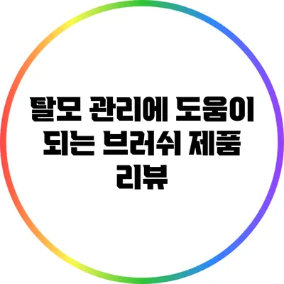 탈모 관리에 도움이 되는 브러쉬 제품 리뷰