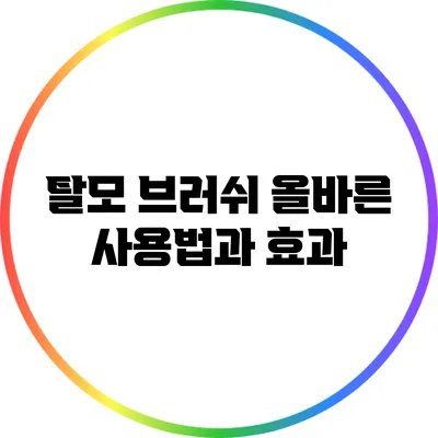탈모 브러쉬: 올바른 사용법과 효과