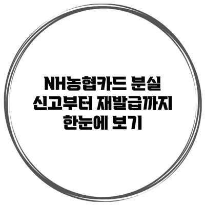 NH농협카드 분실 신고부터 재발급까지 한눈에 보기