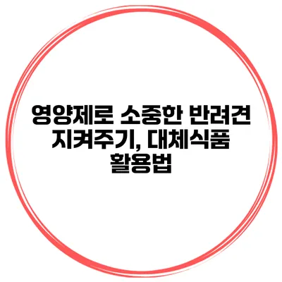 영양제로 소중한 반려견 지켜주기, 대체식품 활용법