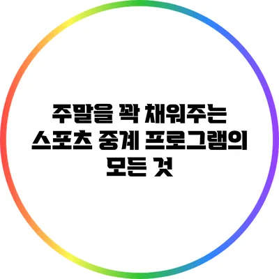주말을 꽉 채워주는 스포츠 중계 프로그램의 모든 것