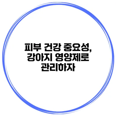 피부 건강 중요성, 강아지 영양제로 관리하자