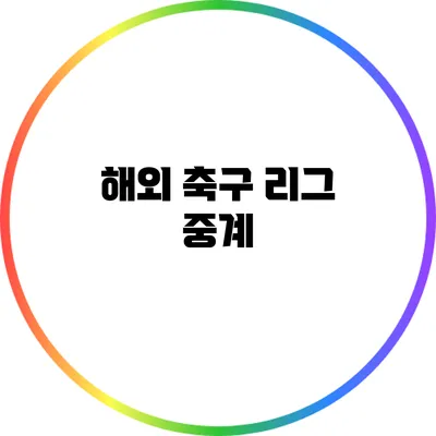 해외 축구 리그 중계